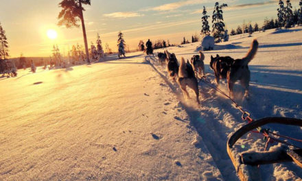 Incentive Travel in Finnish Lapland