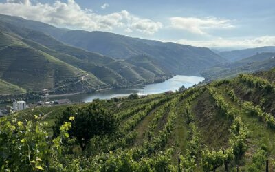 Incentive Stay in Porto and the Douro’s Valley