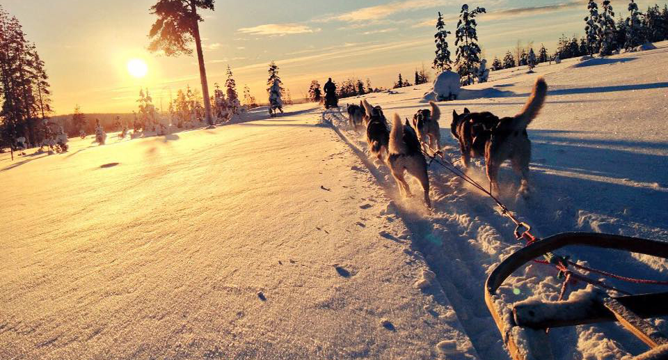 Voyage Incentive en Laponie Finlandaise